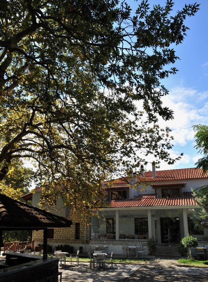 Κonitsa Gefyri Hotel 科尼札 外观 照片